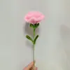 Palitos retorcidos Clavel Hecho a mano Productos para el Día de la Madre y el Día de la Mujer Puesto de mayoreo Arreglos florales Flores artificiales