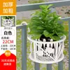 Oferta Especial Simple Ampliado y Engrosado Colgador Colgante para Repisa de Ventana Barandilla de Balcón Estante para Macetas Pothos Estante Colgante para Macetas con Flores Estante para Barandilla de Flores