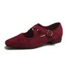Sapatos femininos estilo francês, bico quadrado, fivela cruzada, sapatos Mary Jane, novos, primavera e outono de 2024, sapatos baixos estilo fada, 2,5 cm