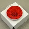 Flor mágica flor eterna gigante 9-10CM flor luz nocturna lote directo cubierta de vidrio 1 rosa paquete de materiales diy