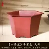 Vaso de Flor de Resina, Vaso de Flor Triangular, Vaso de Cerâmica Roxo Imitando Areia Púrpura para Flores, Vaso Quadrado de Plástico para Orquídeas, Vaso para Bonsai