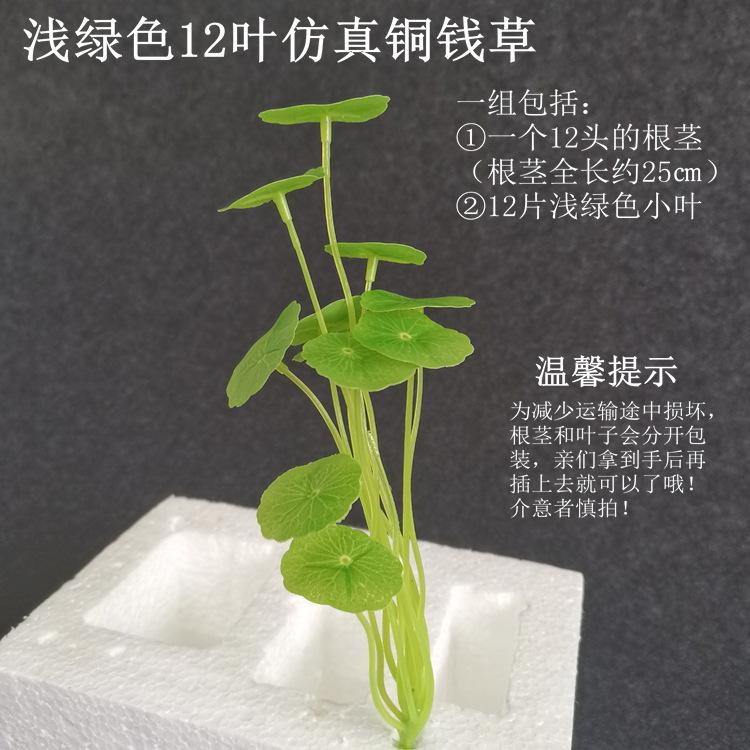【浅绿色12叶仿真铜钱草】.jpg