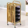 Carrito de Herramientas de Peluquería Carrito de Herramientas para Salón Carrito de Belleza Carro de Mano Carrito de Cinco Niveles para Barbería