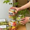 Caja de Empaque Transparente para Fruta Cortada Estilo Red Social Picnic Camping Vaso para Fruta Ensalada Frutos Secos Fritos Desechable Caja de Empaque para Llevar