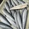 Filetes de Caballa Fresca Congelada Rápidamente, Desespinados, Sin Cabeza, Filetes de Pescado Limpios, Filetes de Caballa Sin Espinas, Pescado Plateado