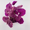 Ramo Pequeño Artificial Personalizado de 7 Cabezas Planta Artificial Pequeña Planta de Hojas Falsas Accesorios para Paredes de Plantas Bonsái de Escritorio para Oficina