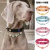 Collar de Piedras Preciosas para Mascotas Transfronterizo DIY Collar Personalizado para Gato Accesorios de Correa para Perro Tienda Física Artículos Más Vendidos