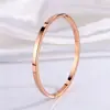 Pulseira de Aço Titânio, Popular Estilo Europeu e Americano Transfronteiriço, Pulseira Simples Lisa para Mulheres, Versão Coreana, Luxo Leve, Nicho, Pulseira de Alta Qualidade