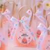 Bolsa transparente de PVC para jardín de infancia, bolsa de embalaje para niños, bolsa de regalo para personas mayores, bolso de mano para bebé, regalo de mano, bolsa de regalo de cumpleaños