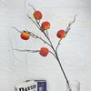 Novos produtos transfronteiriços Vários Simulação Fruta Maçã Caqui Sala de estar Enfeites Decoração Casa Ano Novo Arranjo de flores Enfeites de manga