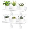 Estante de pared transparente de acrílico para plantas moderno simple maceta para suculentas estante de almacenamiento para macetas de flores de interior