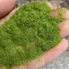 Tapete de Grama Redondo, Carpete de Grama Verde, Mini Paisagismo Bonsai, Musgo, Modelo de Mesa de Areia para Desktop, Gramado Decorativo de Plantas Verdes