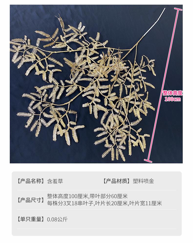 含羞草产品参数.jpg