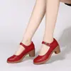Zapatos de Baile Modelo Nuevo 2025 para Baile Cuadrado, Zapatos de Baile Nuevos de Tacón Medio Suela Suave para Mujeres, Zapatos para Madres de Mediana Edad y Mayores, Producción Transfronteriza