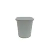 Vaso Quadrado para Suculenta Echeveria 'Hortula', Vaso de Plástico, Branco e Rosa
