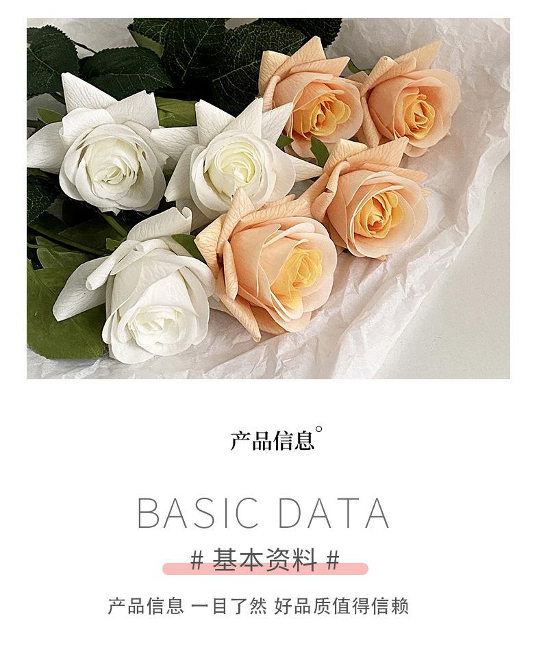 保湿玫瑰_03.jpg