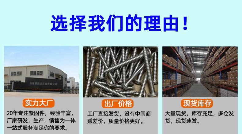 钻尾螺丝钉