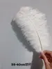 Decoración de Boda al por Mayor Adornos de Florero con Plumas de Avestruz Plumas de Avestruz DIY Accesorios para Ropa de Escenario Plumas