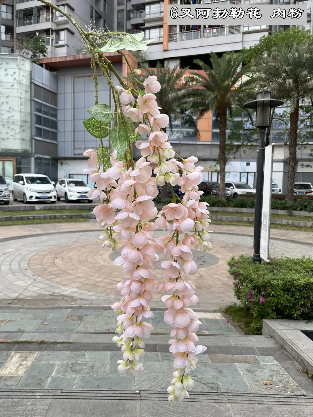 微信图片_20210312173759.jpg
