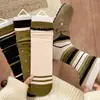Nuevos calcetines a rayas de bloques de color otoño e invierno para mujer, calcetines apilados de encaje con lunares verde café, calcetines versátiles de moda japoneses de media pantorrilla