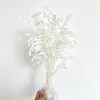 Flor Preservada Pasto Pequeño Pasto Diamante Flor Inmortal Ramo de Flores Secas Fabricante Venta al Por Mayor Adornos de Escritorio Decoración para Sala de Estar en el Hogar
