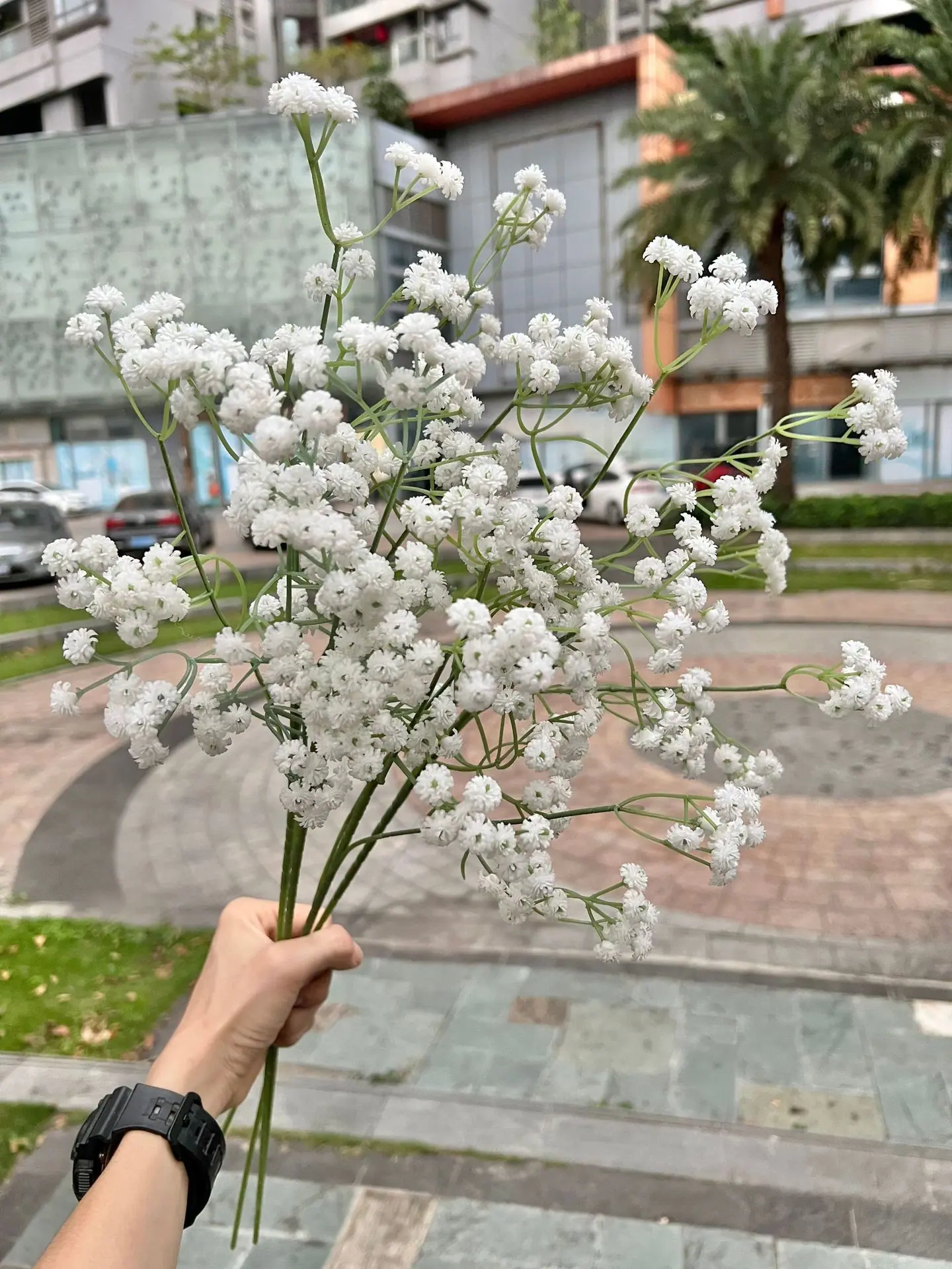 微信图片_20230412170730.jpg