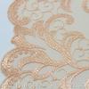 Tanglong Neoclássico Alta Luxo Duas Cores Renda Exquisite Pattern Bordada Renda 21cm Roupas Têxteis para Casa Acessórios Acessórios
