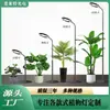 Suporte de Planta Telescópico Anel de Anjo de Chão, Dimerizável, com Plugue de Terra, Luz Suplementar de Temporização para Plantas à Prova de Umidade para Desktop