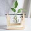 Vaso transparente de madeira criativo para plantas hidropônicas, pequeno recipiente fresco de mesa, decorações modernas para sala de estar
