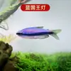 Peixe Ornamental Grande, Peixe Tropical Pequeno de Água Doce Fácil de Cuidar, Peixe Leve, Aquário de Tanque com Plantas Natação em Grupo Peixes de Estimação