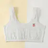 Camiseta Regata de Roupa Íntima para Meninas no Período de Desenvolvimento, Alunos do Ensino Fundamental e Médio, Sutiã Anti-Impacto de Segunda Fase para Crianças, Malha Respirável, Transfronteiriço