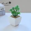 Suculenta Pequeño Bonsái Cerámica Muebles para el Hogar Decoración Fabricante de Jinhua Plantas Verdes Aliexpress Flor Artificial Plantas en Maceta