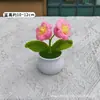 Productos Terminados Transfronterizos: Girasoles, Muguete, Tulipanes, Plantas Pequeñas en Maceta Tejidas a Mano con Hilo, Bonsái, Decoraciones de Oficina, Decoraciones Interiores de Coche