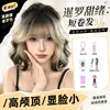 Peluca Koni completa para mujer, cabello corto y rizado, degradado negro y dorado, peluca estilo asiático, set completo de peluca dulce lolita