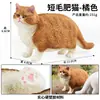 Traje de modelo de gato animal de simulación para niños, juego de gato, gatito, modelo de gatito blanco y negro, juguetes, adornos