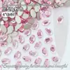 4*6mm Forma de Huevo de Paloma Denier Planas Fondo Plano Oval Forma Especial Joyería para Uñas Diamante Popular Super Brillante Accesorios para Uñas Usables Venta al por Mayor