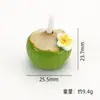 Simulación Paja Coco Plumeria Resina Accesorios Llavero DIY Hecho a Mano Pegamento Crema Micro Paisaje Adornos Materiales