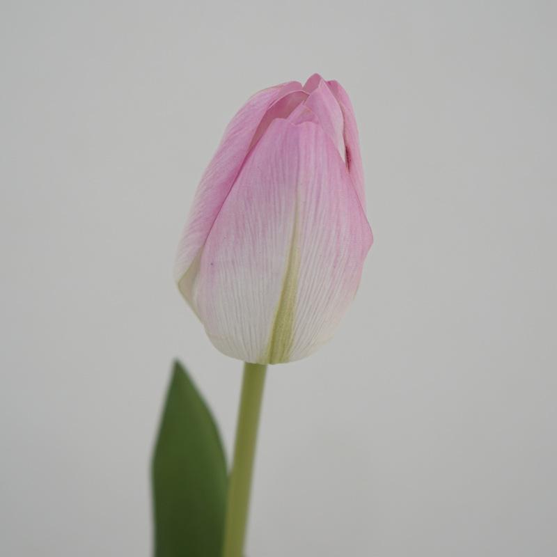 DSC09622_副本