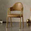 Silla de Comedor Lujo Ligero Silla de Ocio con Respaldo para el Hogar Taburete Simple para Escritorio Silla para Restaurante, Té con Leche, Uñas Silla de Recepción de Negocios