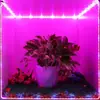Luces LED para Cultivo de Flores y Verduras Set de Tira de Luces LED 50505V12 Luces Luz de Fondo para TV RGB Colorido Transfronterizo Más Vendido