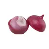 Caja de Plástico Verdura PP Recipiente Crujiente Fruta Caja de Almacenamiento Cebolla Caja Selladora Set Ajo Limón Recipiente Crujiente