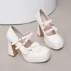 Nuevos Zapatos de Mujer 2026 con Correas de Moño, Zapatos de Salón Mary Jane, Tacones Altos Gruesos, Zapatos de Suela Gruesa, Tallas Grandes 40-45