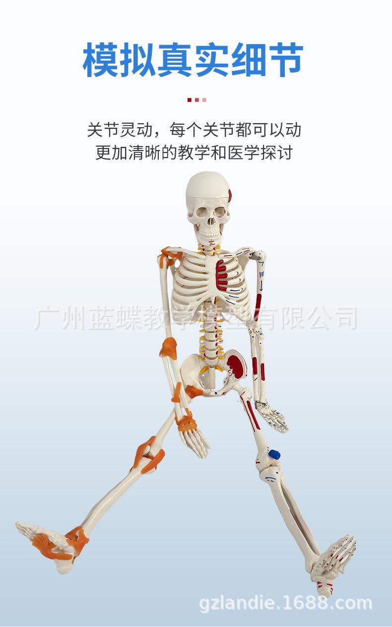 详情_05