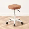 Taburete bajo con polea, altura ajustable, rueda giratoria, asiento redondo, adecuado para salones de belleza, uso doméstico, salones de uñas y aplicaciones giratorias; nuevo modelo