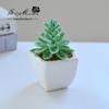 Suculenta Pequeño Bonsái Cerámica Muebles para el Hogar Decoración Fabricante de Jinhua Plantas Verdes Aliexpress Flor Artificial Plantas en Maceta
