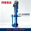 Bomba Submersível Vertical Tipo Zjl para Lodo de Dessulfurização e Remoção de Escória, Fabricada em Liga de Cromo Alto, Desconto Atacado do Fabricante