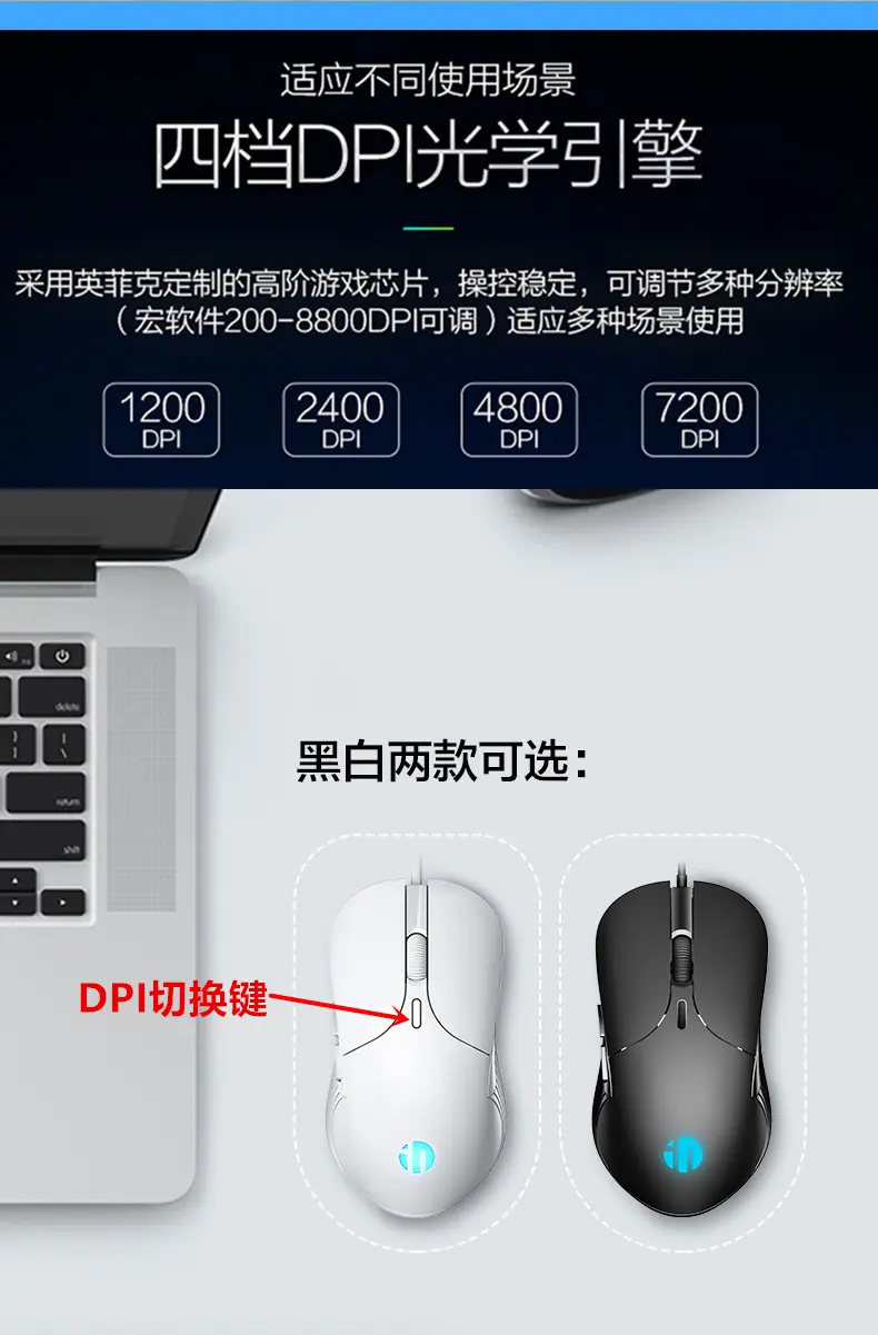 B1白的详情2_副本