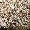 Melocotón de cinco dedos tamaño granular tamaño granular hierba medicinal china color original sabor original embolsado para infusión productos secos para hacer sopa Raíz de melocotón de cinco dedos