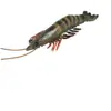 Figura Realista de Camarón Modelo de Animal Marino Juguete de Criatura Marina de PVC para Niños Decoración de Vida Marina Playset Educativo de Biología Marina para Niños y