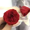 Flores Naturales Eternas para el Festival Qixi, Materiales para Zapatos de Boda Austin, Caja de Regalo con Tapa de Cristal, Rosas Colgantes para Coche